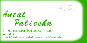 antal palicska business card